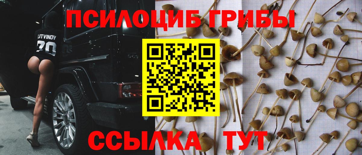 Псилоцибиновые грибы Psilocybe  Вход с VPN  Арсеньев  Псилоцибиновые грибы ЛСД 