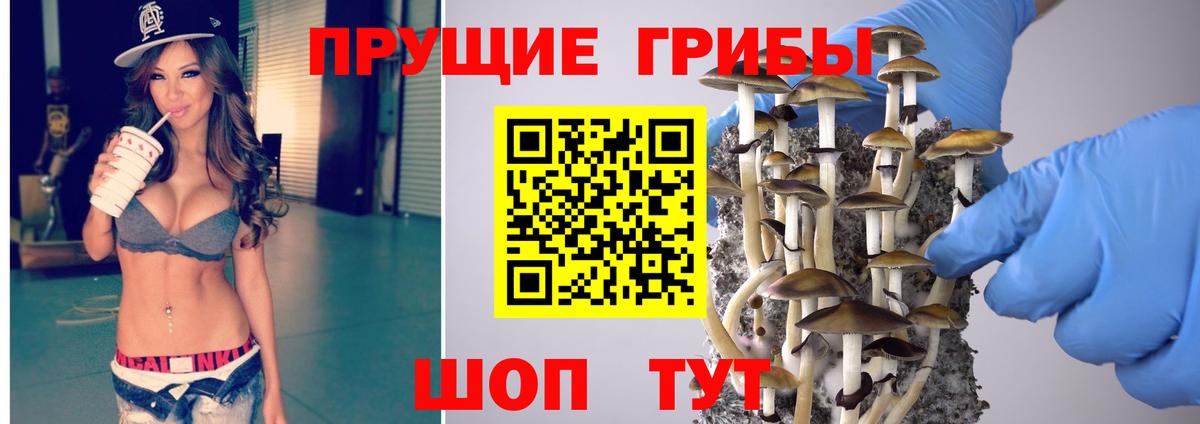 Псилоцибиновые грибы MAGIC MUSHROOMS Арсеньев